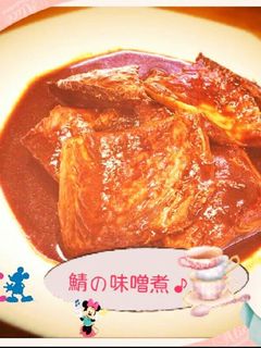 鯖のみそ煮*♪2☆-レシピのメイン写真