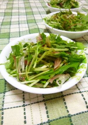 水菜・青じそ･ミョウガの中華風サラダ-レシピのメイン写真