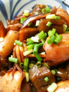 いかとこんにゃくの煮物-レシピのメイン写真