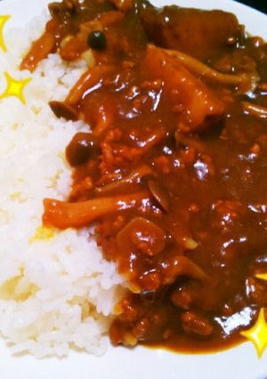 絶品!おすすめ!設楽カレー☆*。-レシピのメイン写真