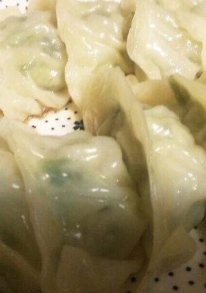 韮と大葉のヘルシー餃子-レシピのメイン写真