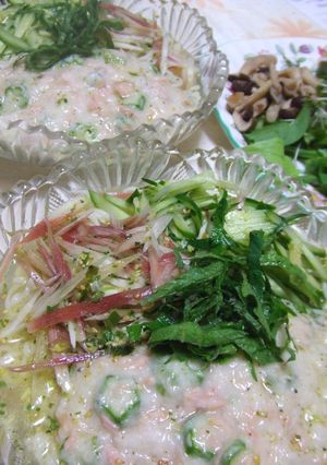 夏野菜たっぷりネバトロぶっかけ塩ラーメン-レシピのメイン写真