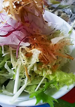 千切りキャベツに鰹節だけ☆-レシピのメイン写真