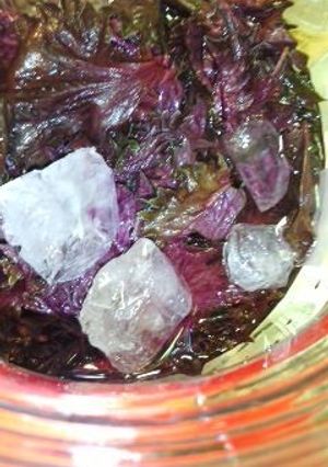 母直伝◆紫蘇酢-レシピのメイン写真