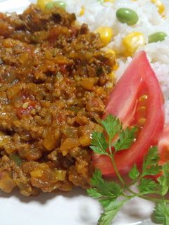 夏野菜たっぷりお手軽ドライカレー☆-レシピのメイン写真
