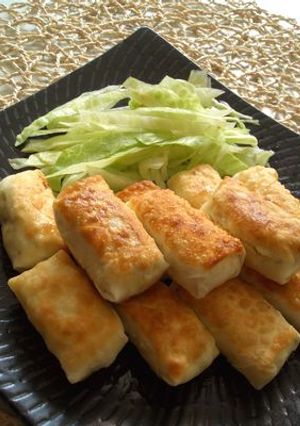 おからと卵のチビ春巻き-レシピのメイン写真
