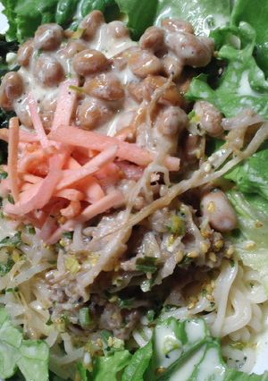 納豆ひき肉とサラダ風ぶっかけ-レシピのメイン写真