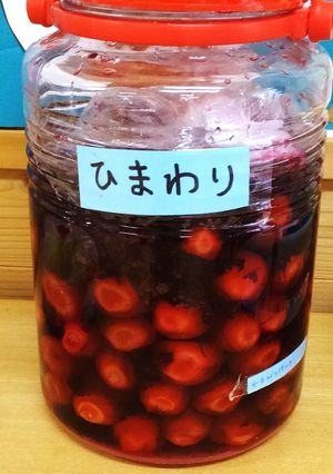 子どもたちのクッキングレシピ★　梅干し-レシピのメイン写真
