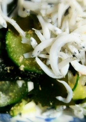 きゅうりとわかめともやしの酢の物-レシピのメイン写真