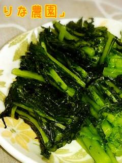からし菜のお漬物♪-レシピのメイン写真