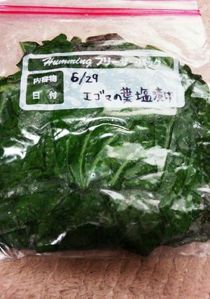 エゴマの葉の塩漬け-レシピのメイン写真