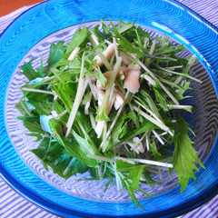 鶏ささみと水菜のさっぱりサラダ-レシピのメイン写真
