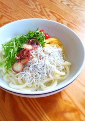 釜揚げしらすのGOMAサラダうどん-レシピのメイン写真