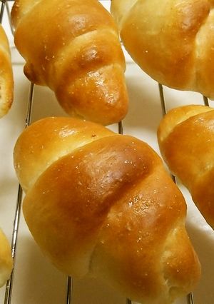 塩バターロール-レシピのメイン写真