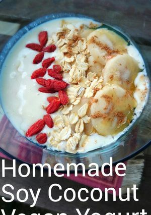 豆乳ココナッツ自家製Veganヨーグルト-レシピのメイン写真