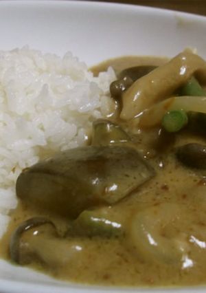 ココナッツミルクカレー-レシピのメイン写真