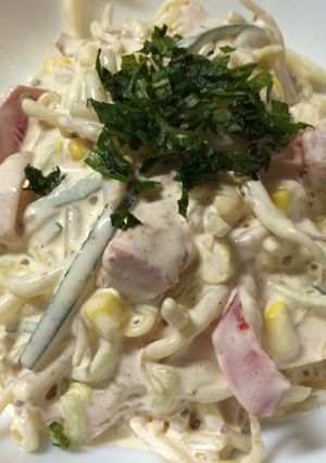給料日前にもやしのサラダ-レシピのメイン写真