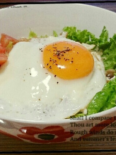カフェ飯☆蒸し鶏ともやしの塩ダレ丼-レシピのメイン写真