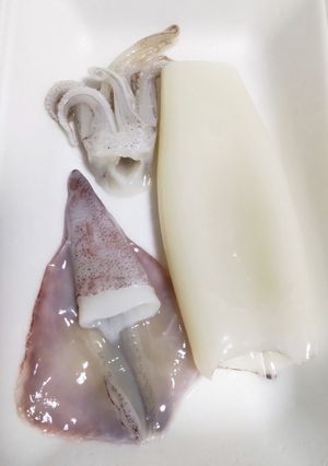 塩で臭み消し！イカの下処理＊皮むき簡単-レシピのメイン写真