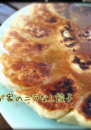 我が家のニラなし餃子(羽根つき)-レシピのメイン写真