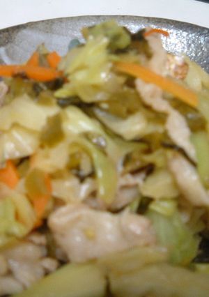 豚キャベツの高菜炒め-レシピのメイン写真