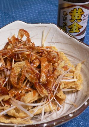 長葱キツネの黄金の味-レシピのメイン写真