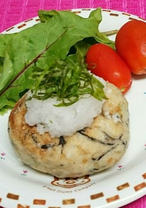 おからバーグ♪具だくさんです-レシピのメイン写真