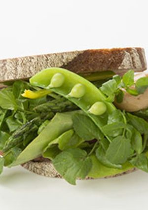 みどり野菜のサンドイッチ-レシピのメイン写真