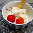 豆腐ヨーグルトDEアイスクリン