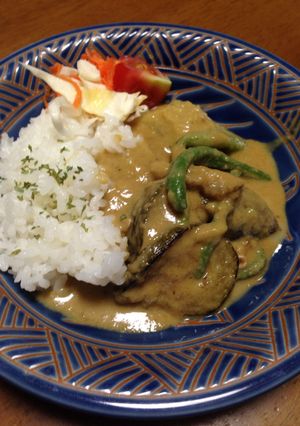 娘に伝えたい 我が家のグリーンカレー-レシピのメイン写真