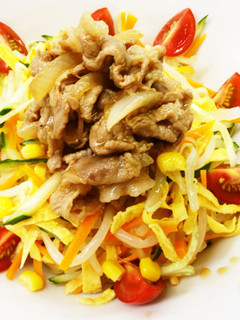 肉盛り冷し中華-レシピのメイン写真