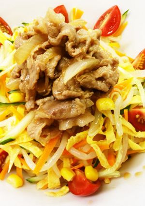 肉盛り冷し中華-レシピのメイン写真