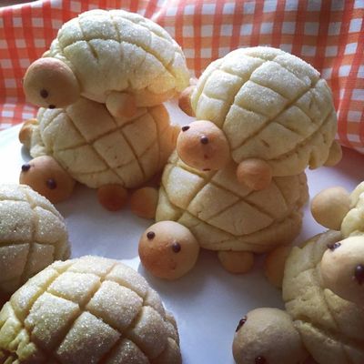 めろんぱん メロンパン (@melonpan_japan) / X