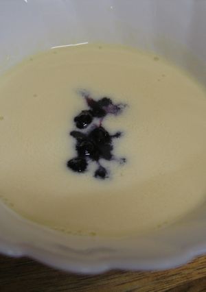 豆乳で☆ヨーグルト風-レシピのメイン写真