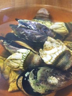 亀の手のお吸い物-レシピのメイン写真