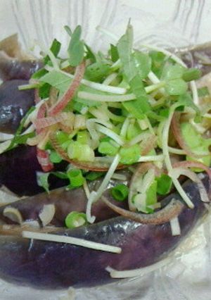 蒸し茄子の冷製-レシピのメイン写真