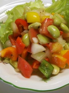 夏野菜の簡単彩りサラダ-レシピのメイン写真