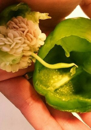 気持ちいいー♥ピーマンのヘタと種の取り方-レシピのメイン写真