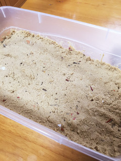 簡単☆ぬか漬け ぬか床《覚書》2015-レシピのメイン写真