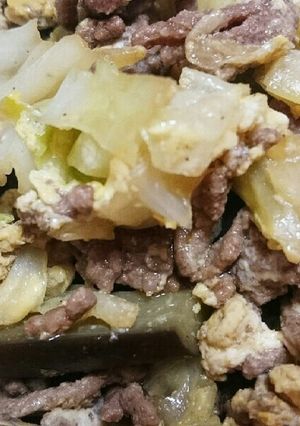 なす・キャベツとひき肉炒め-レシピのメイン写真