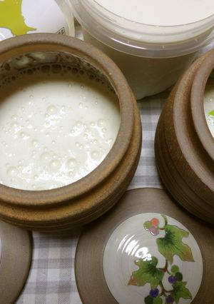 TGG豆乳ヨーグルトの我が家流～実験中♪-レシピのメイン写真