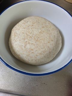 酒粕酵母 基本生地-レシピのメイン写真