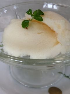 お薦めです!フレッシュ桃のシャーベット-レシピのメイン写真