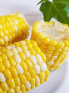 簡単ぷっくり☆トウモロコシの茹で方-レシピのメイン写真