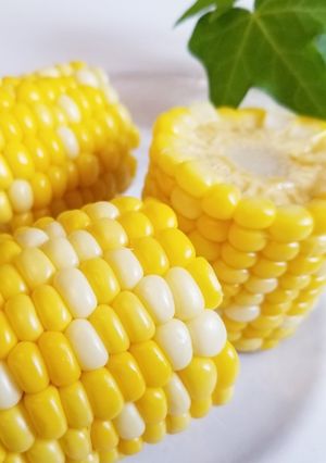 簡単ぷっくり☆トウモロコシの茹で方-レシピのメイン写真