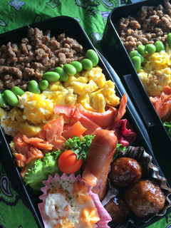 高校生お弁当 そぼろ弁当♪-レシピのメイン写真