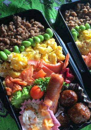 高校生お弁当 そぼろ弁当♪-レシピのメイン写真