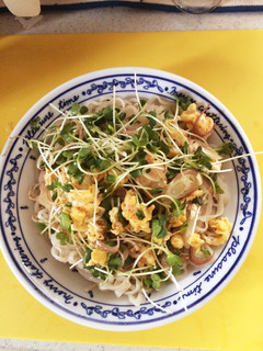 簡単お手軽冷やしうどん-レシピのメイン写真