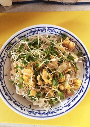 簡単お手軽冷やしうどん-レシピのメイン写真