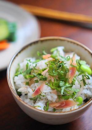 みょうがの甘酢漬けとしらすの混ぜご飯-レシピのメイン写真